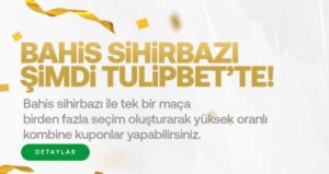 tulipbet bonus